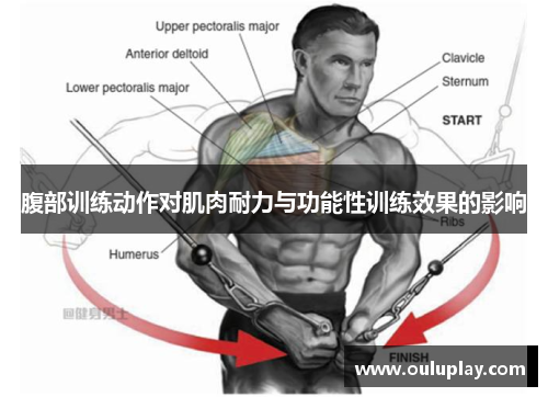 腹部训练动作对肌肉耐力与功能性训练效果的影响